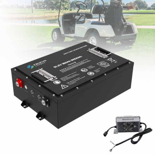 High Performance Lithium LiFePO4 Golf Cart Battery 51.2V 160Ah